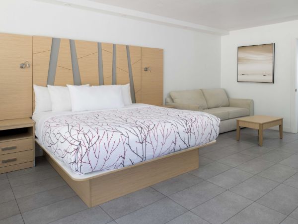 A modern hotel room with a large bed, a nightstand, a small couch, a coffee table, and a framed picture on the wall beside an open doorway.