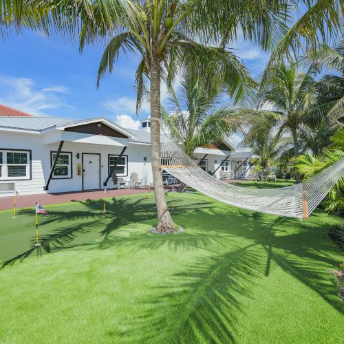 The image shows a backyard with a hammock strung between palm trees, a small putting green, and a white house with a red roof in the background.