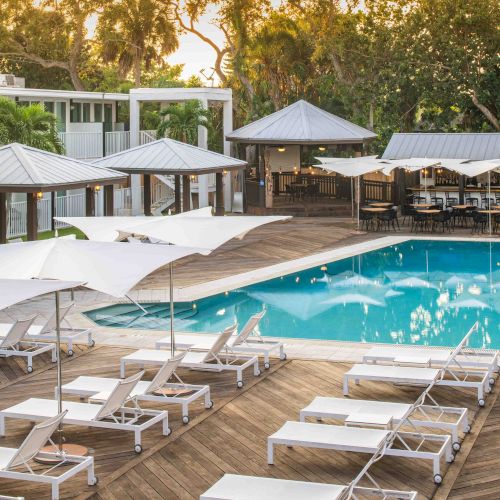 The image shows a serene pool area with lounge chairs, umbrellas, wooden decking, and nearby trees, set in front of modern white buildings and lush greenery.