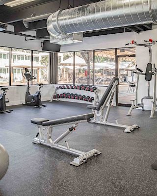 A modern gym with various exercise equipment including treadmills, weight machines, free weights, an exercise bench, and stability balls is shown.