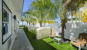 A walkway next to a building with palm trees, two wooden chairs, a small table, and green grass in a sunny outdoor area.