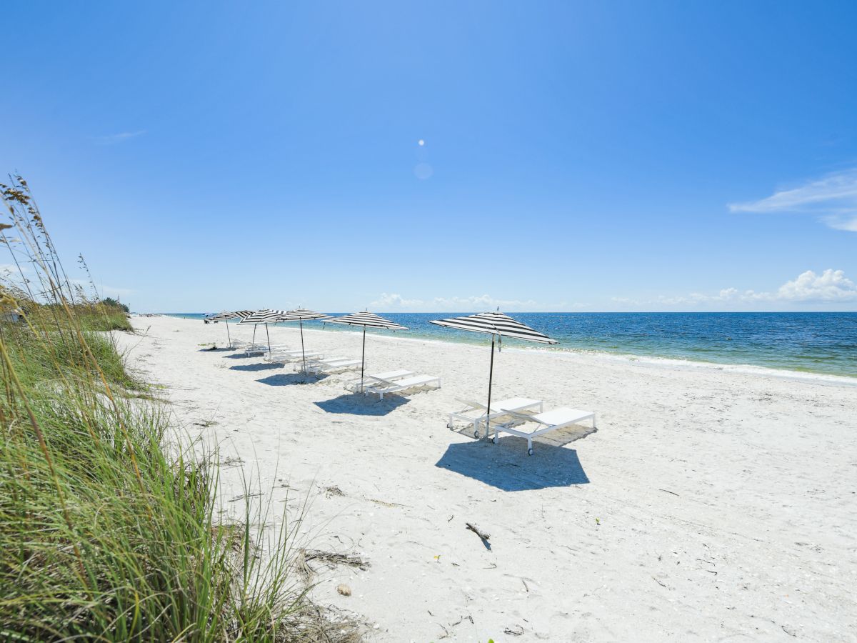 A serene beach scene with white sand, clear blue sky, and ocean waves. There are several sun loungers with umbrellas lined up along the shore.