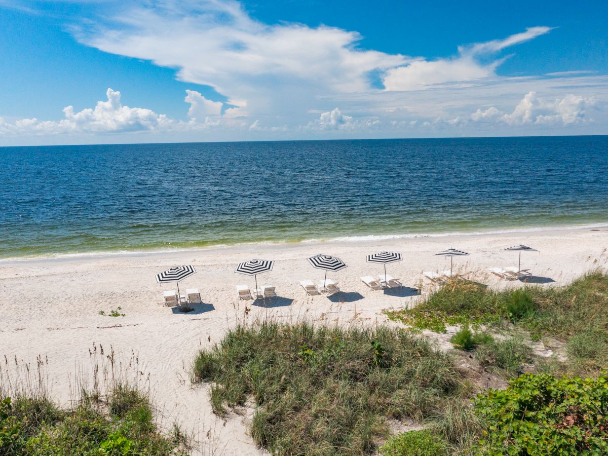 Beach scene with several striped umbrellas and lounge chairs by the shore, clear blue sky, and greenery in the foreground.