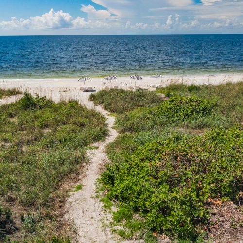 A sandy path leads through green vegetation to a beach with beach chairs and umbrellas, overlooking a vast ocean under a partly cloudy sky.